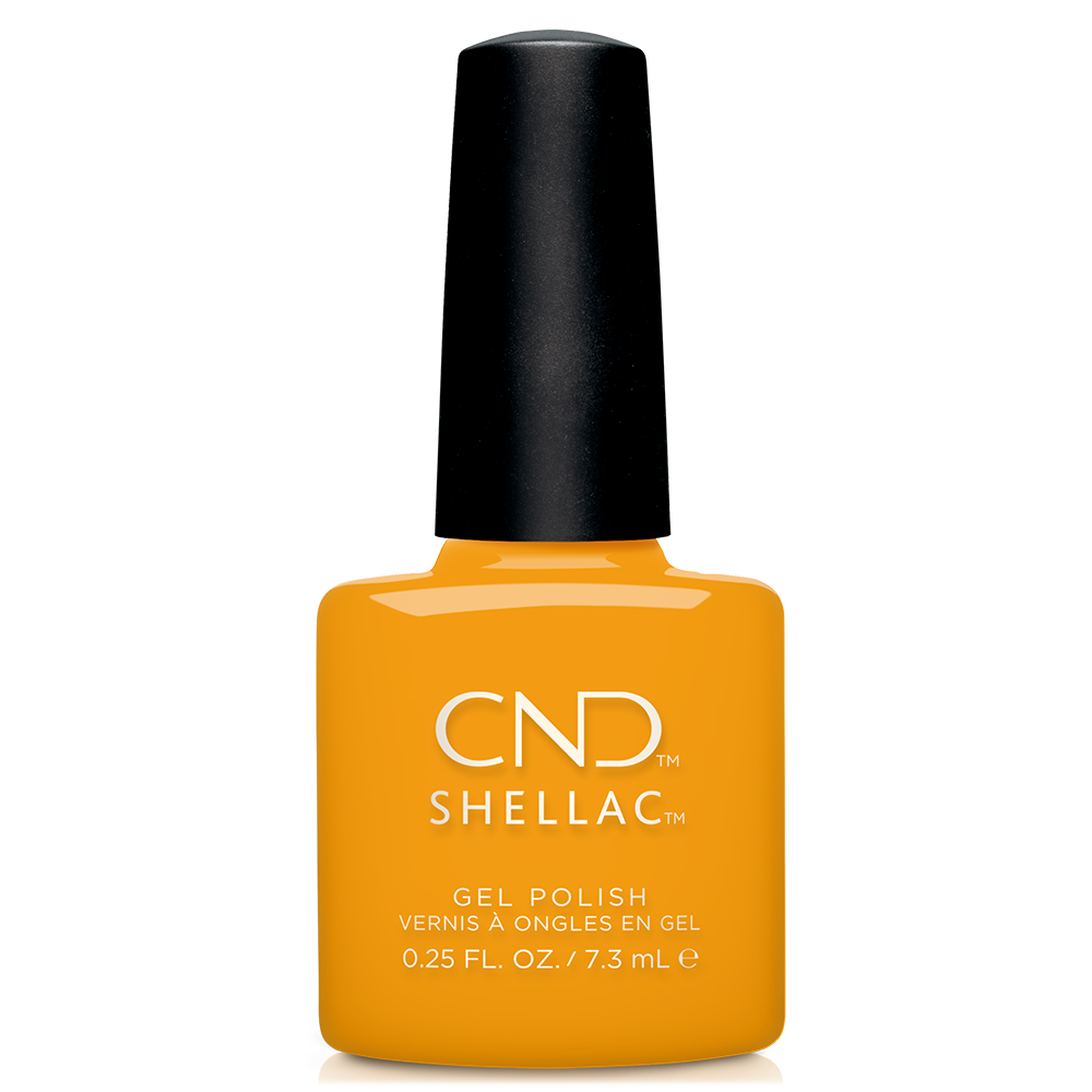 SHELLAC 395 Among The Marigolds - Ítem