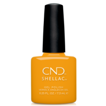 SHELLAC 395 Among The Marigolds