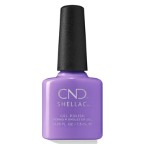 SHELLAC 402 Artisan Bazaar