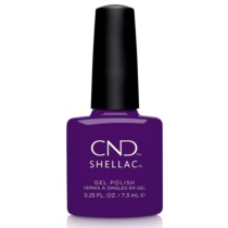 SHELLAC 305 Temptation