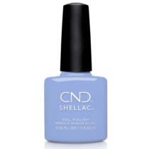 SHELLAC 372 Chance Taker