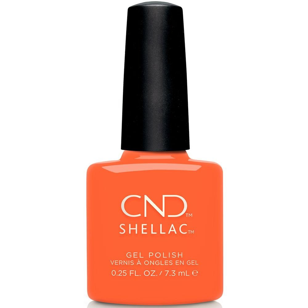 SHELLAC 322 B-day Candle - Ítem