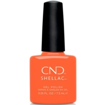 SHELLAC 322 B-day Candle