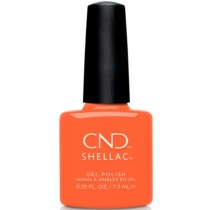 SHELLAC 322 B-day Candle - Ítem