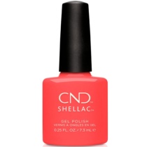 SHELLAC 154 Tropix - Ítem